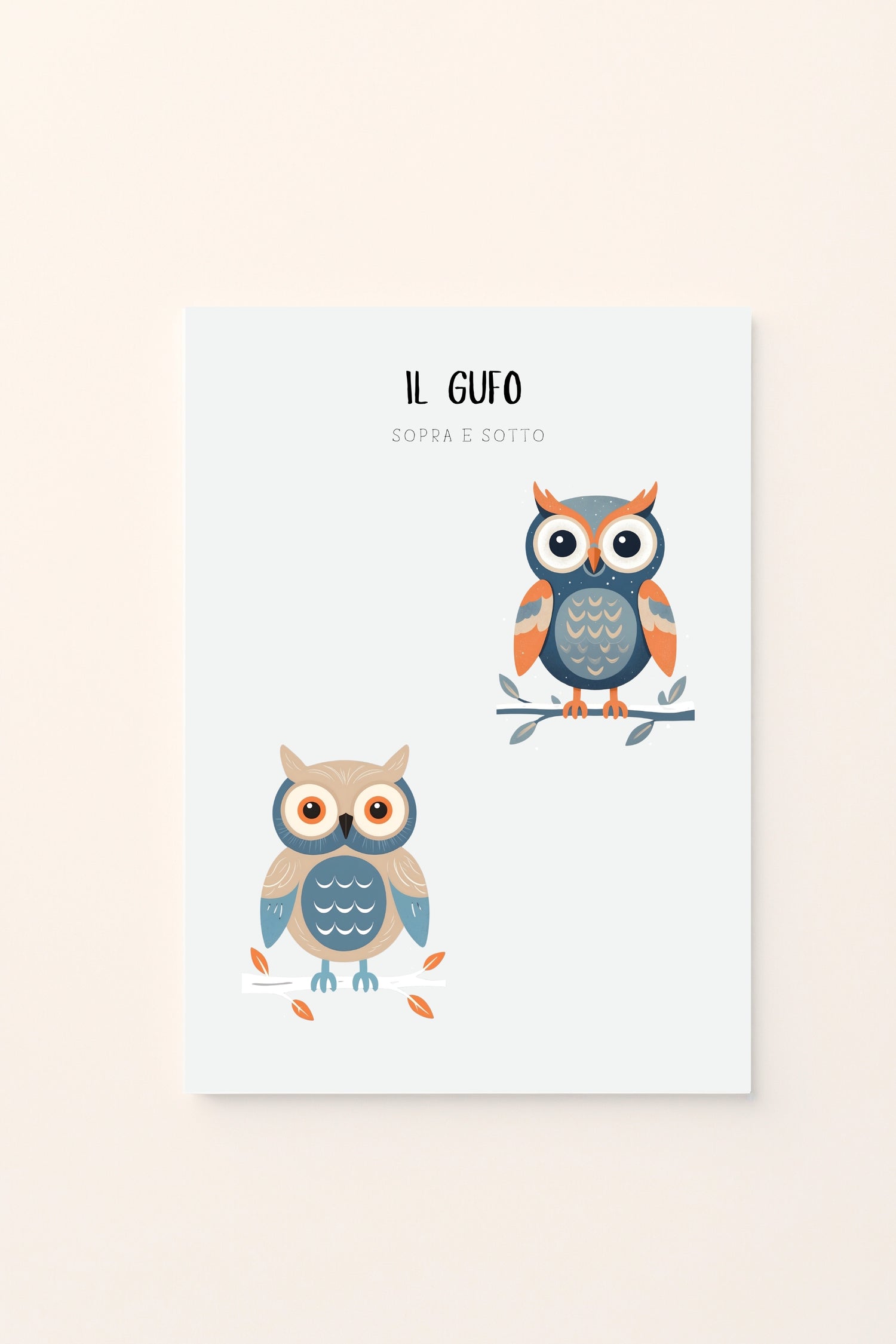 Poster educativo per bambini con gufo illustrato in due posizioni, sopra e sotto, stile invernale su sfondo chiaro. Educativo e delicato.
