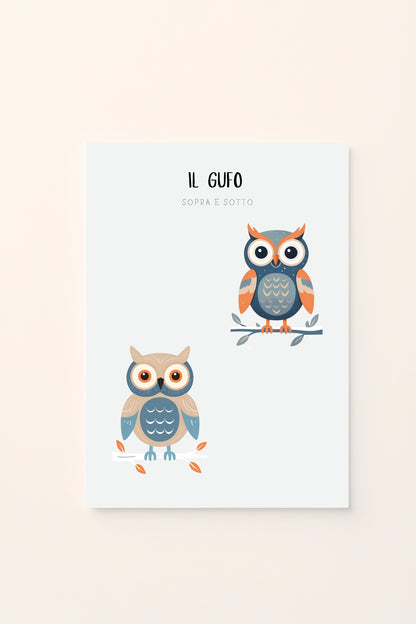 Poster educativo per bambini con gufo illustrato in due posizioni, sopra e sotto, stile invernale su sfondo chiaro. Educativo e delicato.
