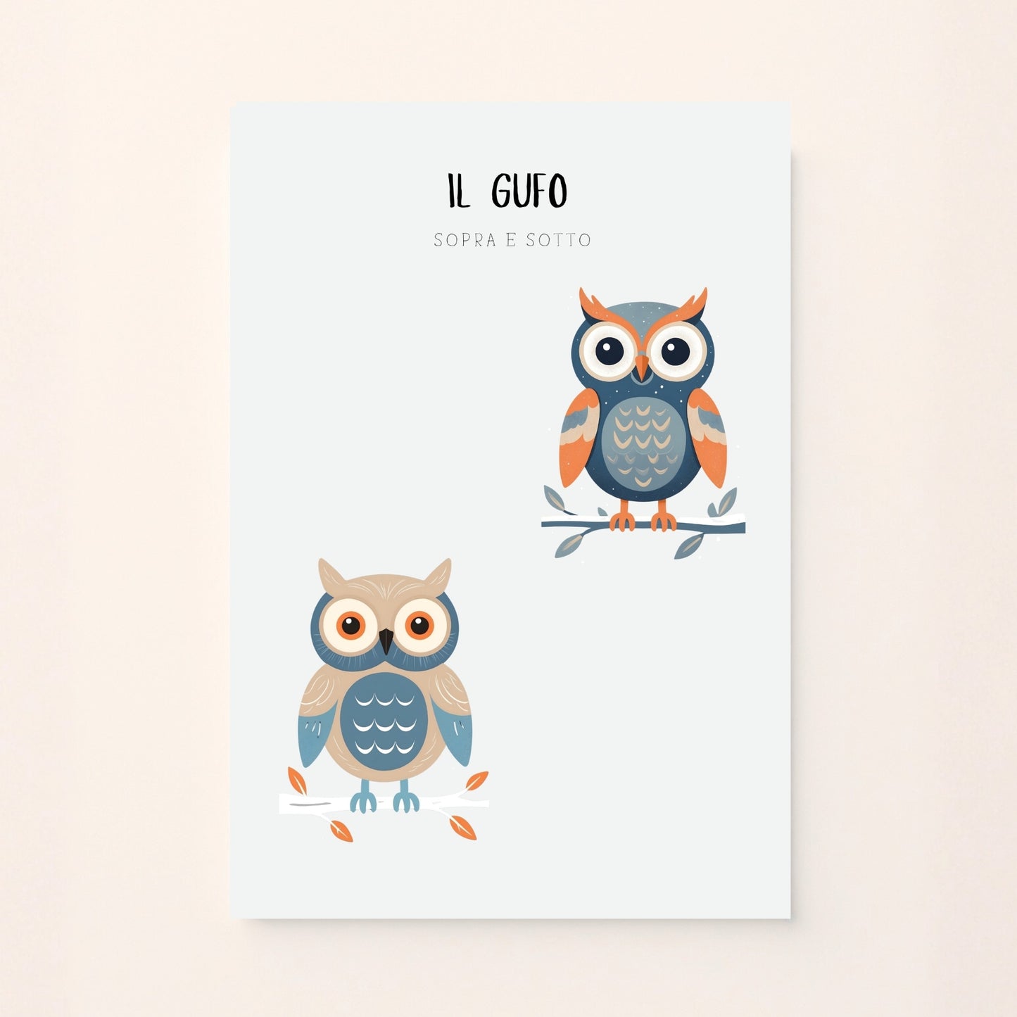 Poster educativo per bambini con gufo illustrato in due posizioni, sopra e sotto, stile invernale su sfondo chiaro. Educativo e delicato.

