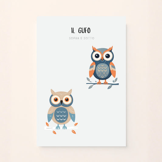 Poster educativo per bambini con gufo illustrato in due posizioni, sopra e sotto, stile invernale su sfondo chiaro. Educativo e delicato.
