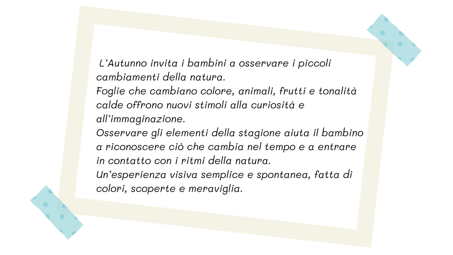 Testo educativo sul significato e sui valori dell’Autunno  per i bambini.
