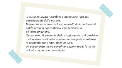 Testo educativo sul significato e sui valori dell’Autunno  per i bambini.
